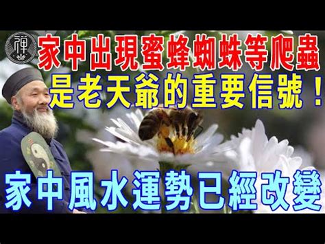 家外有蜂窩|家有蜂窩預示什麼風水？千萬別把危險留在家中！